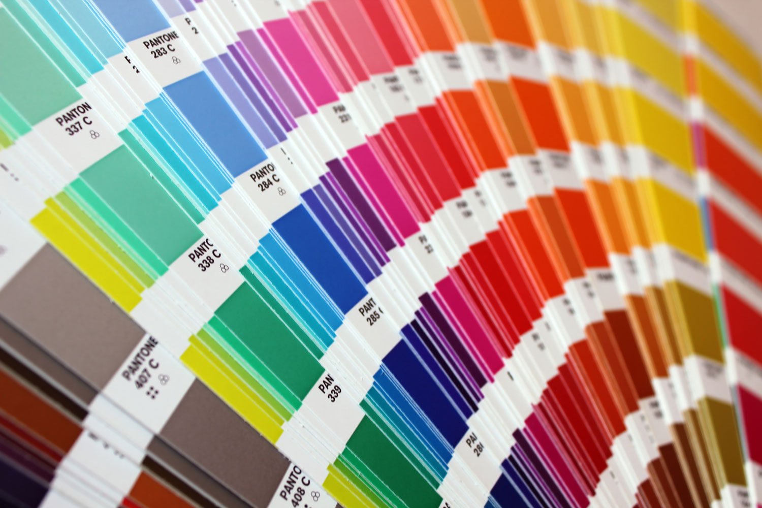 Custom zipper colors